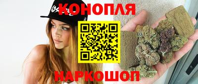 гашик Кулебаки