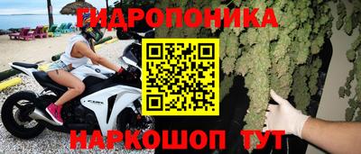 гашик Кулебаки