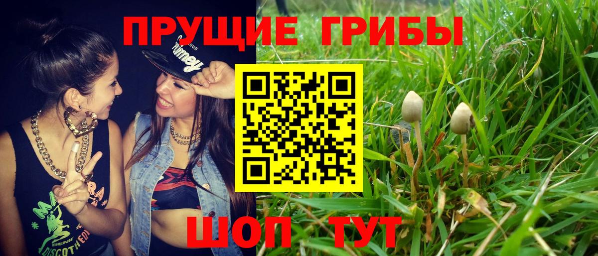 Псилоцибиновые грибы ЛСД  Галлюциногенные грибы Cubensis  Вход с VPN  Выборг 