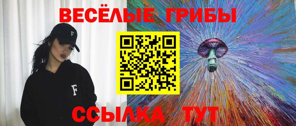 Псилоцибиновые грибы мухоморы Выборг
