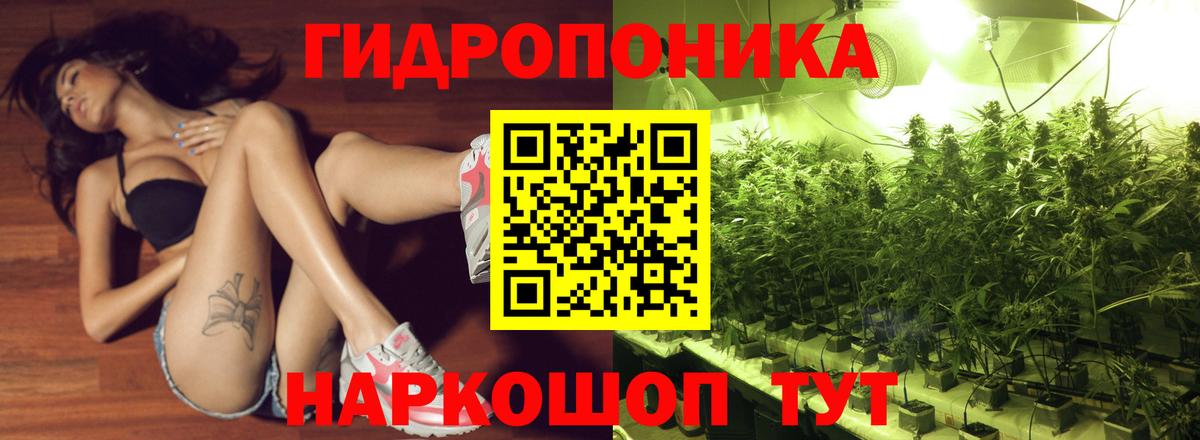Шишки марихуана семена  Бошки марихуана индика  Вход с VPN  Выборг  Бошки марихуана VHQ  Бошки марихуана семена 